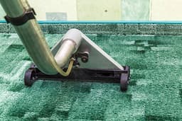 Revitalize Your Home with Expert Carpet Care
